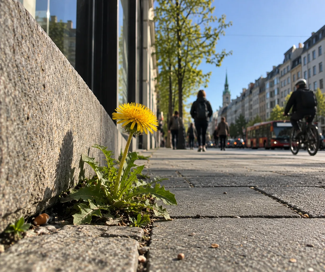 A yellow dandelion blooming through the crack between a stone wall and a city sidewalk