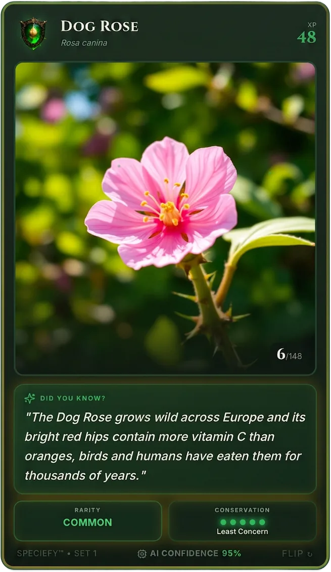 The Speciefy app on a phone, showing the collection screen